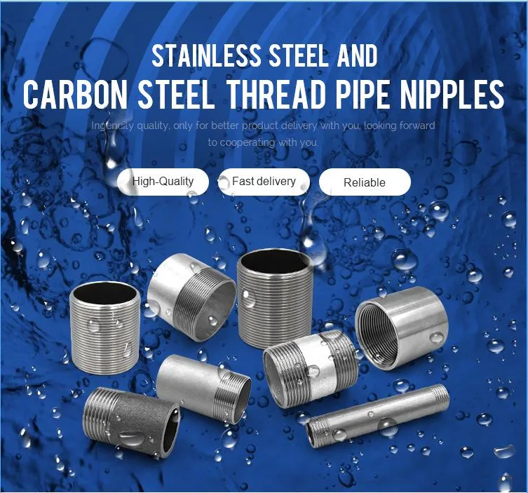 Factory Price Carbon Steel Galvanized Customsize Thread NPT Bsp 1/8-4" Size Double Nipple for Water Oil