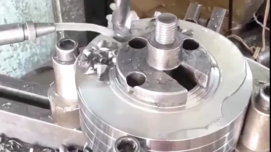 Bride d'ancrage en acier au carbone DN200 8